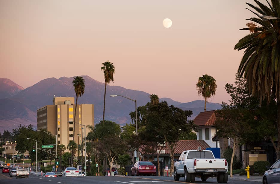 how to report a dog bite in san bernadino